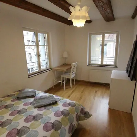 Historic Center - Alsacian Petite Venise 2 - Bookingalsace شقة