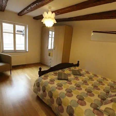 Historic Center - Alsacian Petite Venise 2 - Bookingalsace Colmar