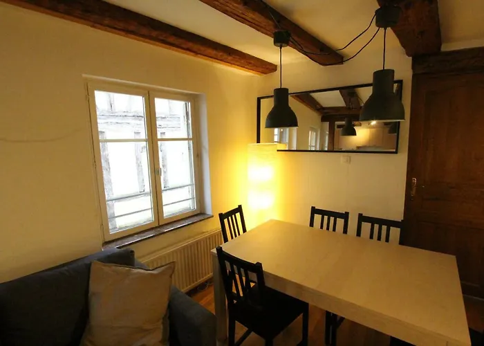 Historic Center - Alsacian Petite Venise 2 - Bookingalsace * Colmar