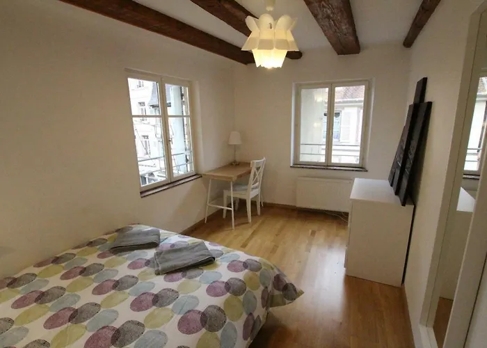 Historic Center - Alsacian Petite Venise 2 - Bookingalsace Apartmán
