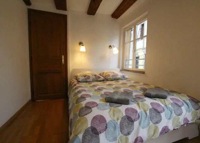 Historic Center - Alsacian Petite Venise 2 - Bookingalsace *