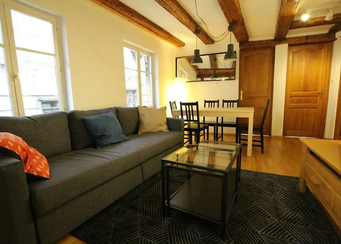 Historic Center - Alsacian Petite Venise 2 - Bookingalsace Apartmán Colmar