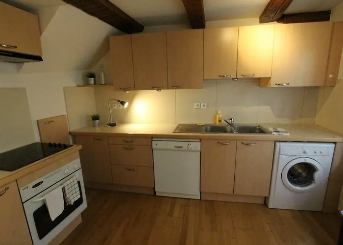 Historic Center - Alsacian Petite Venise 2 - Bookingalsace * Colmar