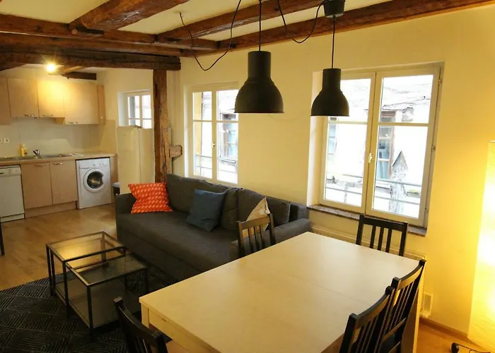 Apartmán Historic Center - Alsacian Petite Venise 2 - Bookingalsace *
