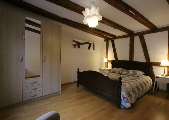 Historic Center - Alsacian Petite Venise 2 - Bookingalsace *