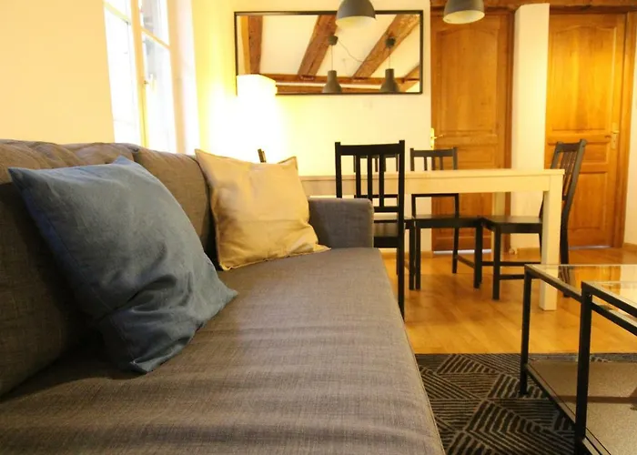Historic Center - Alsacian Petite Venise 2 - Bookingalsace