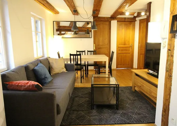 Historic Center - Alsacian Petite Venise 2 - Bookingalsace