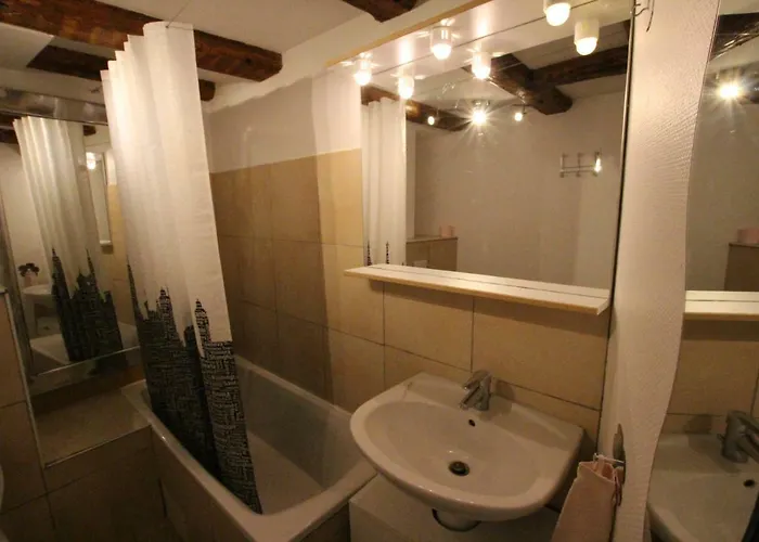 Historic Center - Alsacian Petite Venise 2 - Bookingalsace 公寓 *