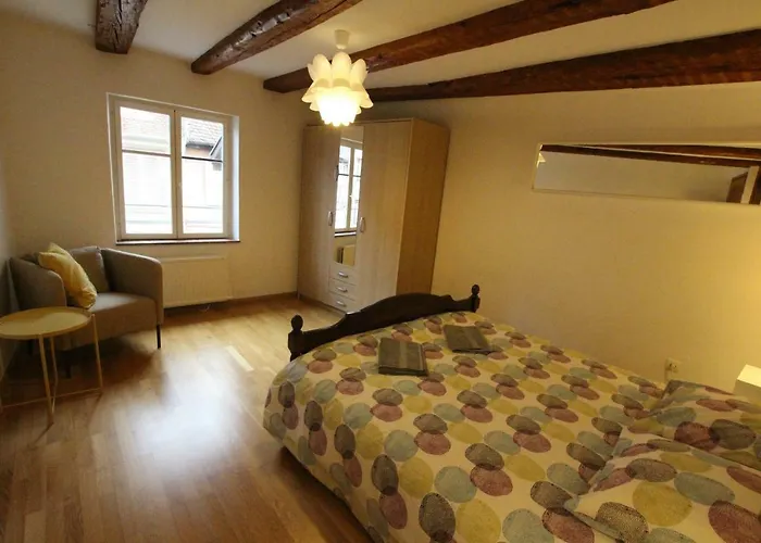 Historic Center - Alsacian Petite Venise 2 - Bookingalsace Colmar
